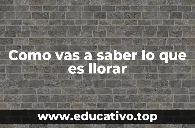 Como vas a saber lo que es llorar