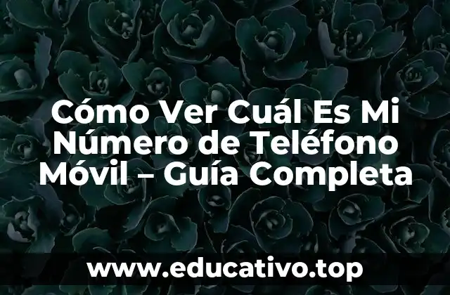 Cómo Ver Cuál Es Mi Número de Teléfono Móvil – Guía Completa
