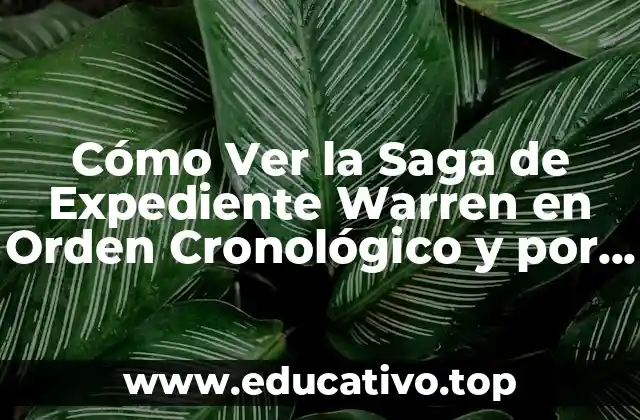 Cómo Ver la Saga de Expediente Warren en Orden Cronológico y por Estreno