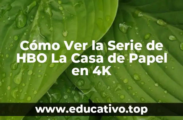 Cómo Ver la Serie de HBO La Casa de Papel en 4K