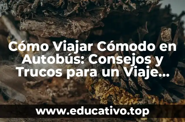 Cómo Viajar Cómodo en Autobús: Consejos y Trucos para un Viaje Placentero