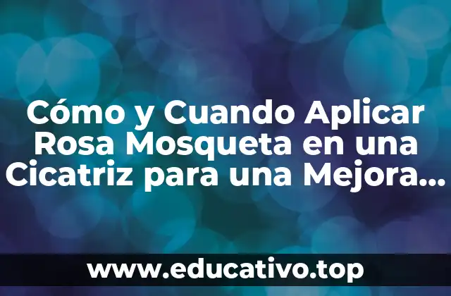 Cómo y Cuando Aplicar Rosa Mosqueta en una Cicatriz para una Mejora Rápida y Efectiva