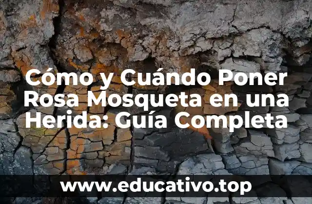 Cómo y Cuándo Poner Rosa Mosqueta en una Herida: Guía Completa