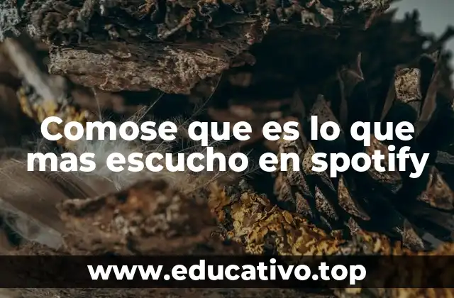 Comose que es lo que mas escucho en spotify