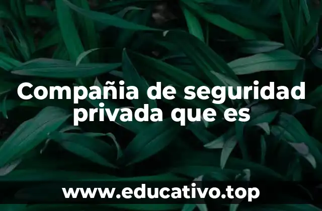 Compañia de seguridad privada que es