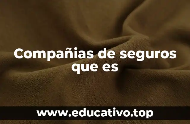 Compañias de seguros que es