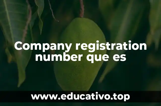 Company registration number que es