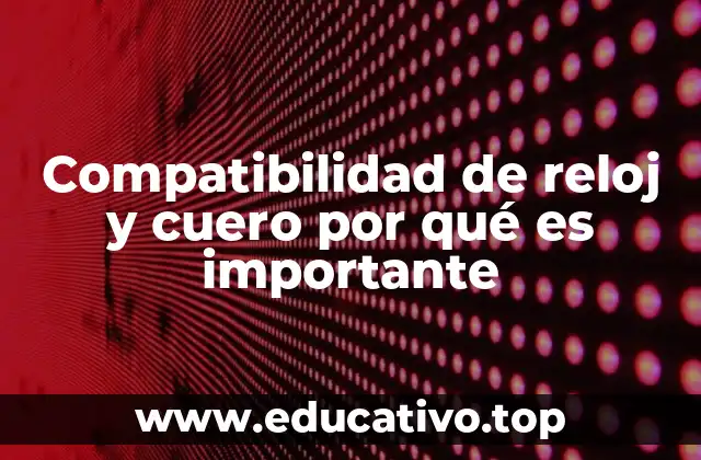 Compatibilidad de reloj y cuero por qué es importante