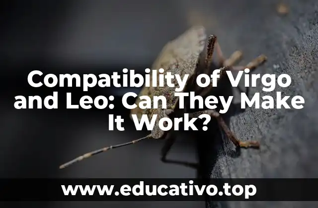 Compatibility of Virgo and Leo: Can They Make It Work?
