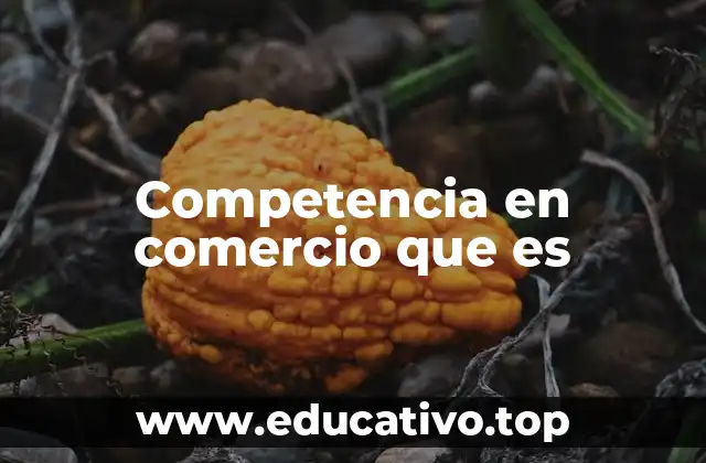 Competencia en comercio que es