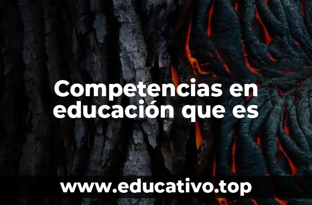 Competencias en educación que es