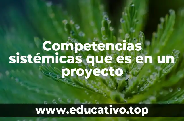 Competencias sistémicas que es en un proyecto