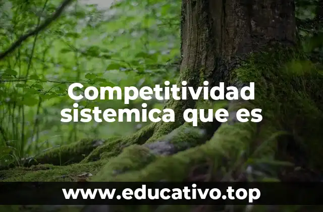 Competitividad sistemica que es