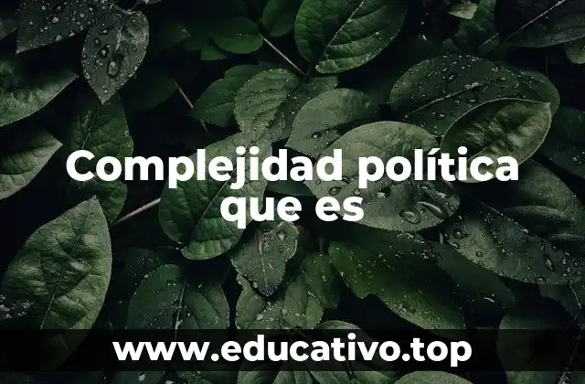 Complejidad política que es