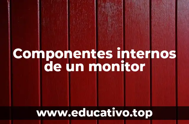 Componentes internos de un monitor