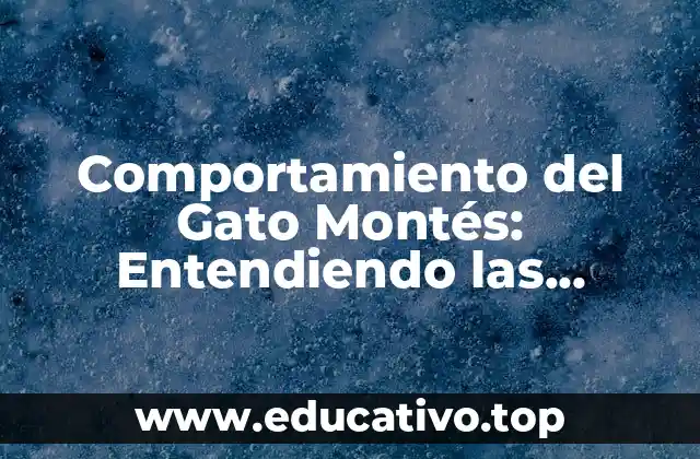 Comportamiento del Gato Montés: Entendiendo las Costumbres del Felino Salvaje