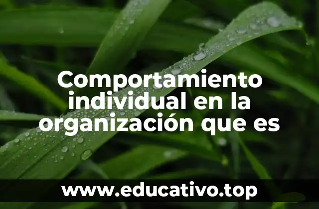 Comportamiento individual en la organización que es