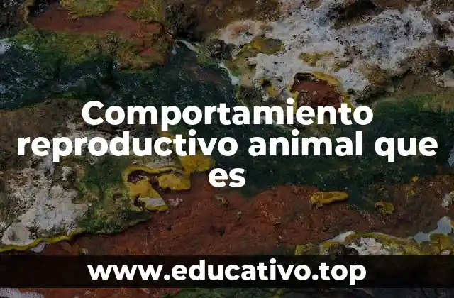 Comportamiento reproductivo animal que es