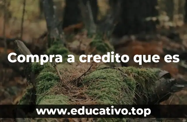 Compra a credito que es