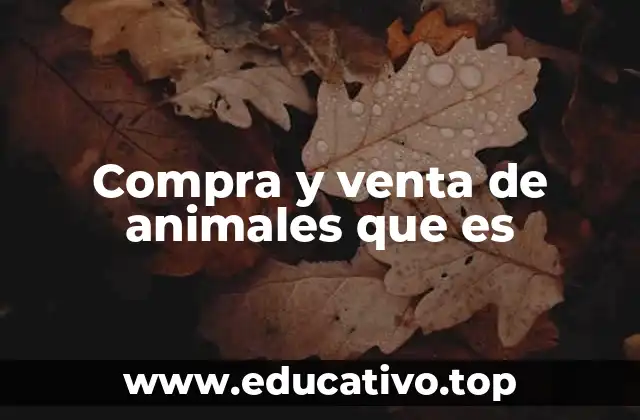 Compra y venta de animales que es