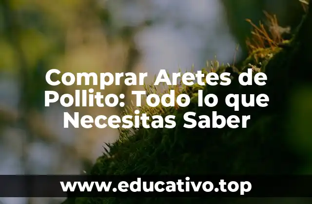 Comprar Aretes de Pollito: Todo lo que Necesitas Saber