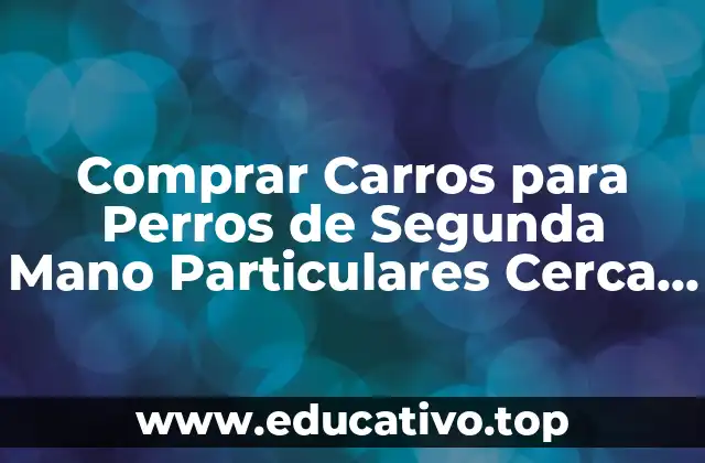 Comprar Carros para Perros de Segunda Mano Particulares Cerca de Madrid