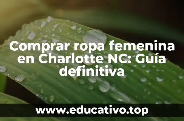 Comprar ropa femenina en Charlotte NC: Guía definitiva