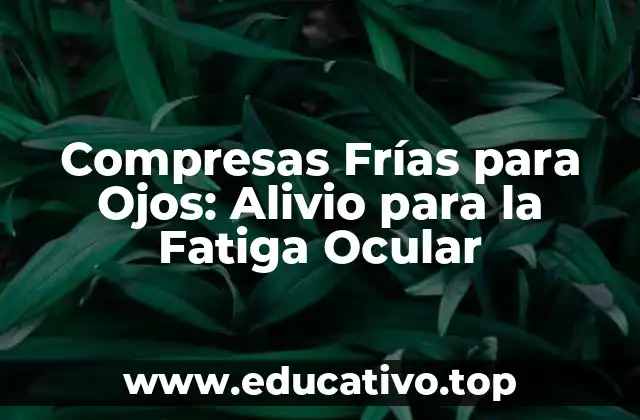 Compresas Frías para Ojos: Alivio para la Fatiga Ocular