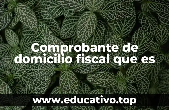 Comprobante de domicilio fiscal que es