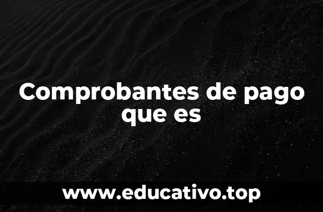 Comprobantes de pago que es