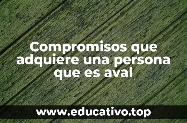 Compromisos que adquiere una persona que es aval