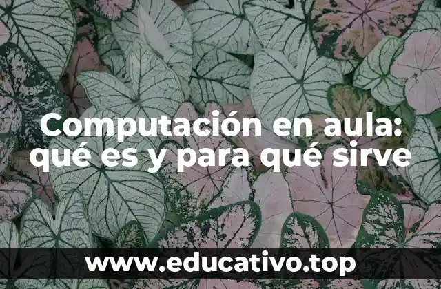 Computación en aula: qué es y para qué sirve