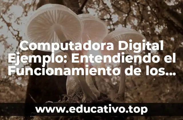 Computadora Digital Ejemplo: Entendiendo el Funcionamiento de los Computadores Modernos