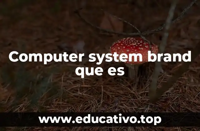 Computer system brand que es