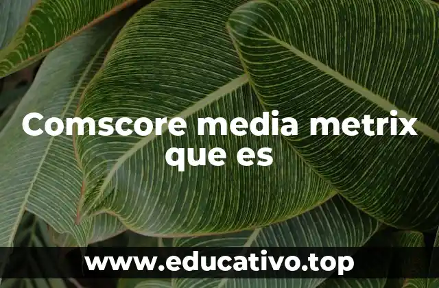 Comscore media metrix que es