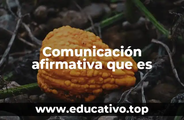 Comunicación afirmativa que es