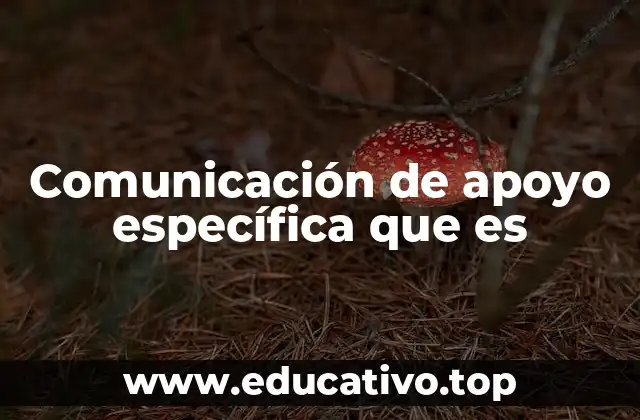 Comunicación de apoyo específica que es