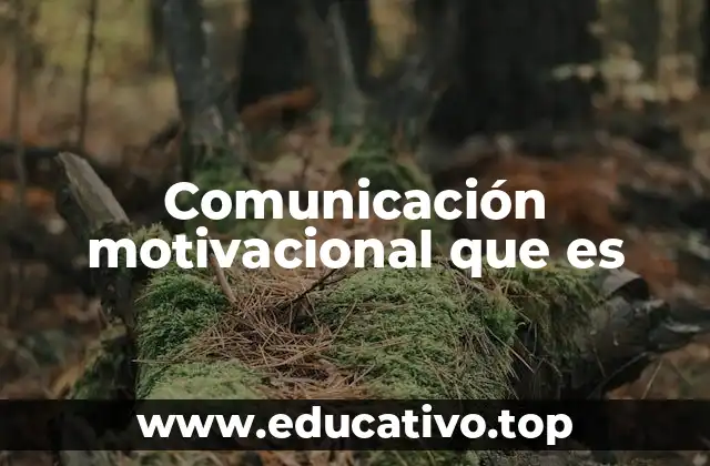Comunicación motivacional que es