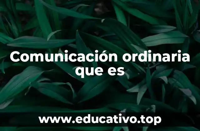 Comunicación ordinaria que es