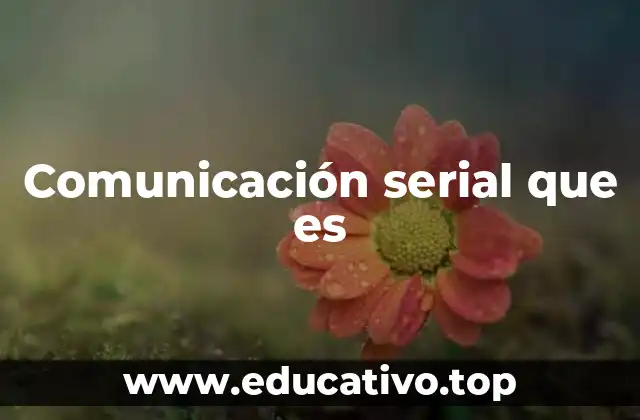 Comunicación serial que es