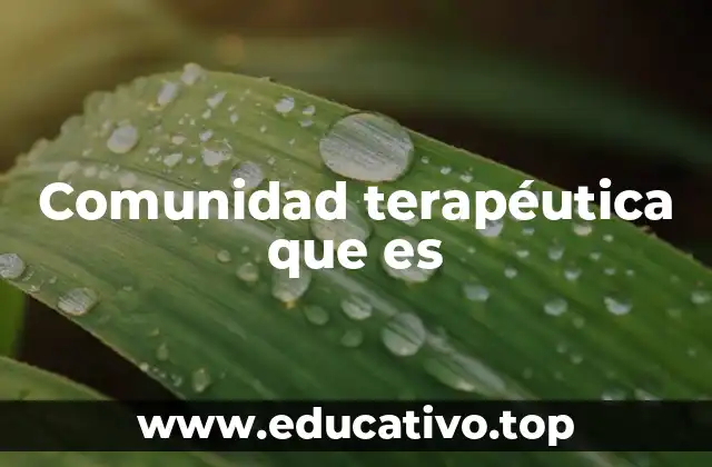 Comunidad terapéutica que es