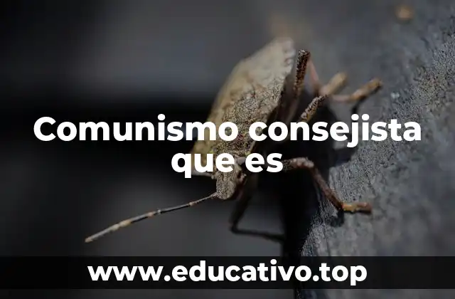 Comunismo consejista que es