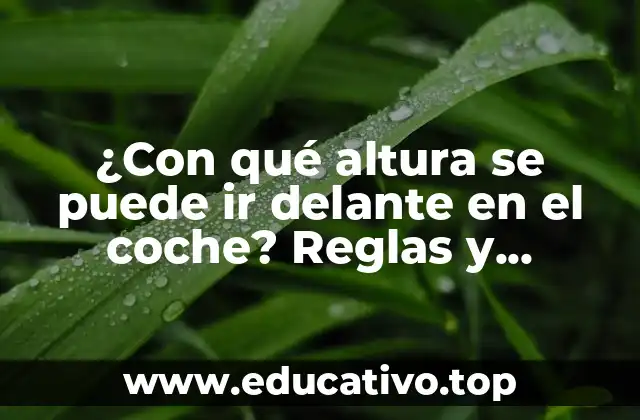 ¿Con qué altura se puede ir delante en el coche? Reglas y consejos para conductores