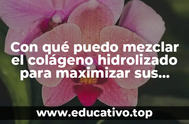 Con qué puedo mezclar el colágeno hidrolizado para maximizar sus beneficios