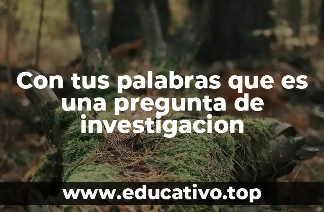 Con tus palabras que es una pregunta de investigacion
