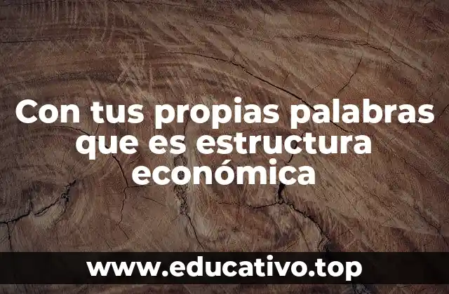 Con tus propias palabras que es estructura económica