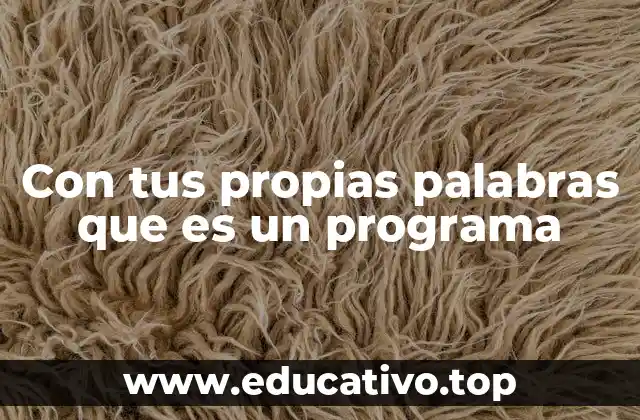 Con tus propias palabras que es un programa