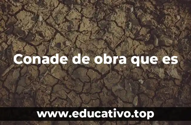 Conade de obra que es