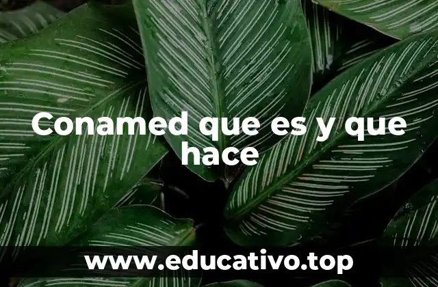 Conamed que es y que hace