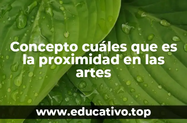 Concepto cuáles que es la proximidad en las artes